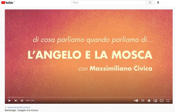 L'angelo e la mosca