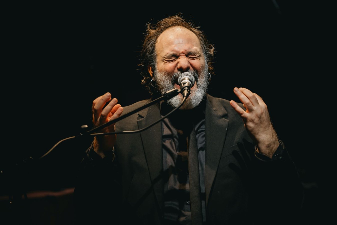 Stasera sono in vena - Il concerto